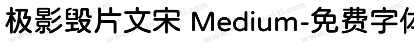 极影毁片文宋 Medium字体转换